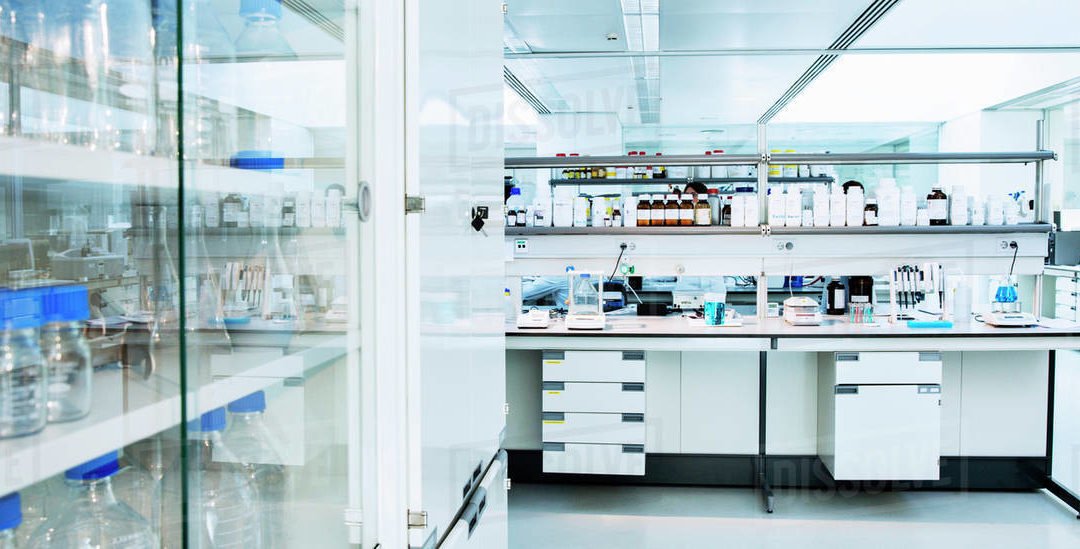 NK Cells for Dummies: Understanding the Next Cancer Paradigm